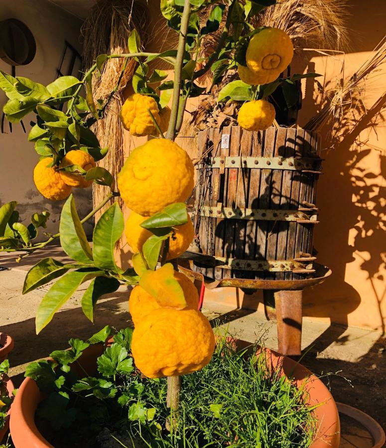 Agriturismo Il Paradiso Iglesias Zewnętrze zdjęcie