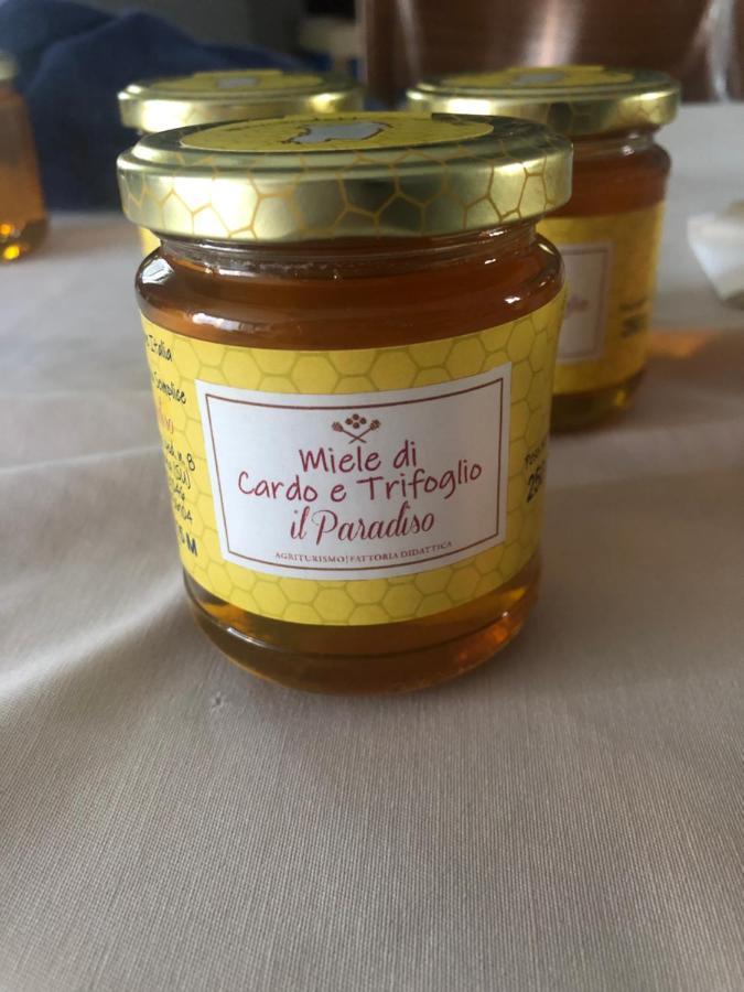 Agriturismo Il Paradiso Iglesias Zewnętrze zdjęcie